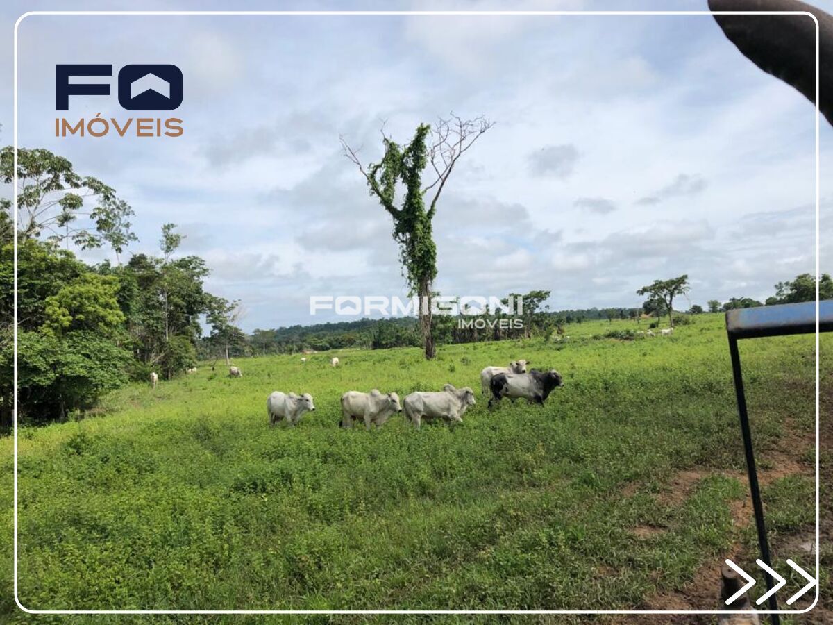 Fazenda em Br 163, Sorriso/MT
