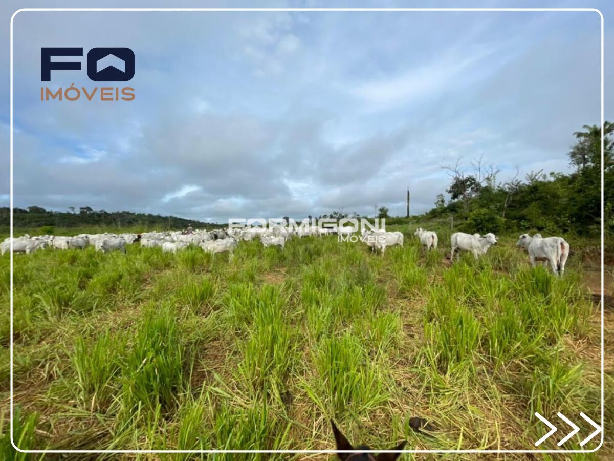 Fazenda em Br 163, Sorriso/MT